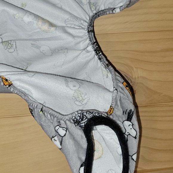 NWT | Berkshire Dog × Peanuts Fall Halloween Snoopy & Woodstock Pajamas | Large - Picture 4 of 8